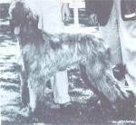 Thumbnail of Aegean Of Mikai