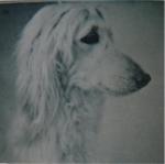 Thumbnail of Aisu Kurimu Of Grandeur