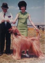 Thumbnail of Alde Barbe's Ferrari