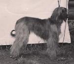 Thumbnail of Ayeshah Of Grandeur