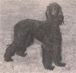 Thumbnail of Bombay's Ebony Idol