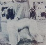 Thumbnail of Ben Ghazi's Sceptre