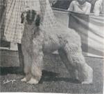 Thumbnail of Crown Crest Kuchi