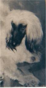 Thumbnail of Crown Crest Kaejoan