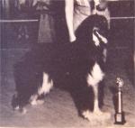 Thumbnail of Dureigh's Fai Of Hillbanks