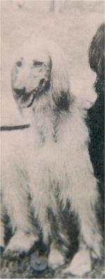 Thumbnail of Fuladi Of Prides Hill