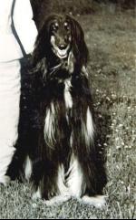 Thumbnail of Black Lyn Of Donde