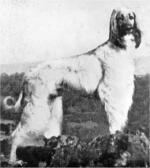 Thumbnail of Wayu Of Geufron