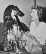 Thumbnail of Rifka's Tarquin Of Carloway