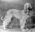 Thumbnail of Firdausi Of Geufron