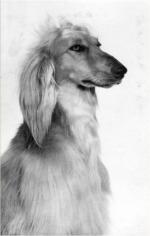 Thumbnail of Farida Of Closmidi