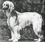 Thumbnail of Juanita Of Chaman