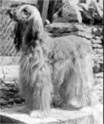 Thumbnail of Khanabad Azrar