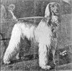 Thumbnail of Taj Amrit Of Chaman