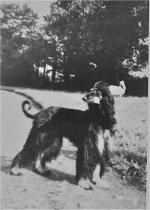 Thumbnail of Meshki-Baz-I-Pushtikuh