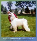 Thumbnail of Dureigh's Swan Song