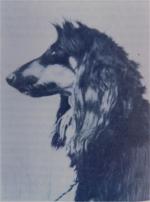 Thumbnail of Diablo Of Grandeur