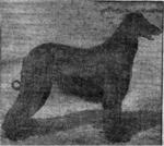 Thumbnail of Mandodari Of Carloway