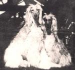 Thumbnail of Hariti Of Prides Hill