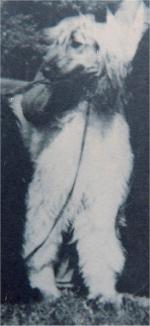 Thumbnail of Hakim Of Grandeur