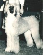 Thumbnail of Holly Hill King Lear