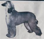 Thumbnail of Holly Hill Lorna Doone