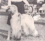 Thumbnail of Patrician's Grey Dawn