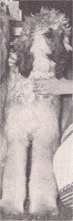 Thumbnail of Kara Bash Of Shamalan