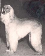 Thumbnail of Ghazal Of Barukara