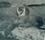 Thumbnail of Kareen Neva El Myia