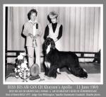 Thumbnail of Khayam's Apollo