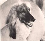 Thumbnail of Kerrin Fachamo