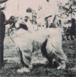 Thumbnail of Khanhasset Kush Of Five Mile