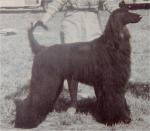 Thumbnail of Khajah's Abou Ben Of Khayyam