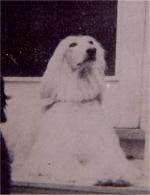 Thumbnail of Kim's Snow Princess