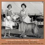 Thumbnail of Akaba's Top Brass