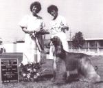 Thumbnail of Palregan's Fancy Blue