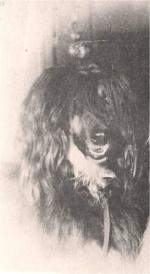 Thumbnail of Black Wyn Of Donde