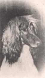 Thumbnail of Laineux Shazeman