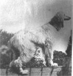 Thumbnail of Lasca Klana