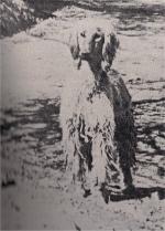 Thumbnail of Tazi Of Beg Tute