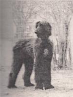 Thumbnail of Taia Of Kingway