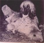 Thumbnail of Majara Maraud