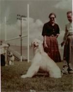 Thumbnail of Malaki Shahab Tazi