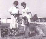 Thumbnail of Atavi Seradrift