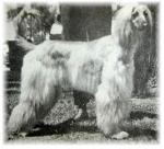 Thumbnail of Akaba's Bubbling Over