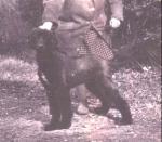 Thumbnail of Chandhara Shinti-Yan