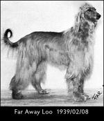 Thumbnail of Far Away Loo