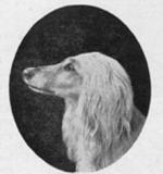 Thumbnail of Mitzou Of Acklam