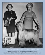 Thumbnail of Akaba's Blue Devil